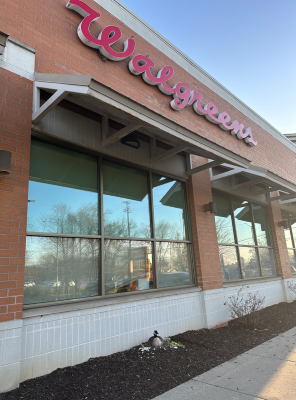 Goose outside Walgreens