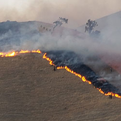 Wildfire on mountain
